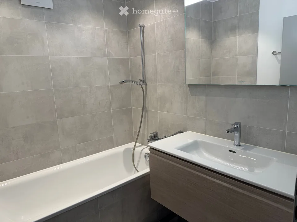Prächtige 4.5-Zimmer-Wohnung in Mont-Sur-Rolle