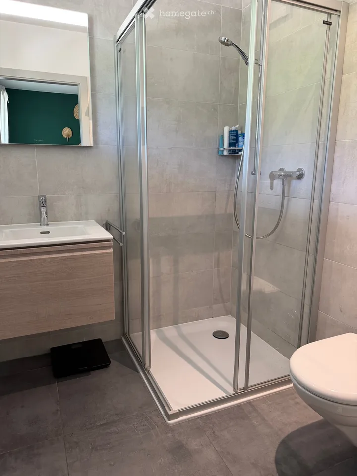Prächtige 4.5-Zimmer-Wohnung in Mont-Sur-Rolle