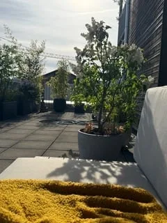 4.5-Zimmer-Wohnung | 110 m² | 60 m² Sonnenterrasse | 2 Bäder | nur 5 Parteien