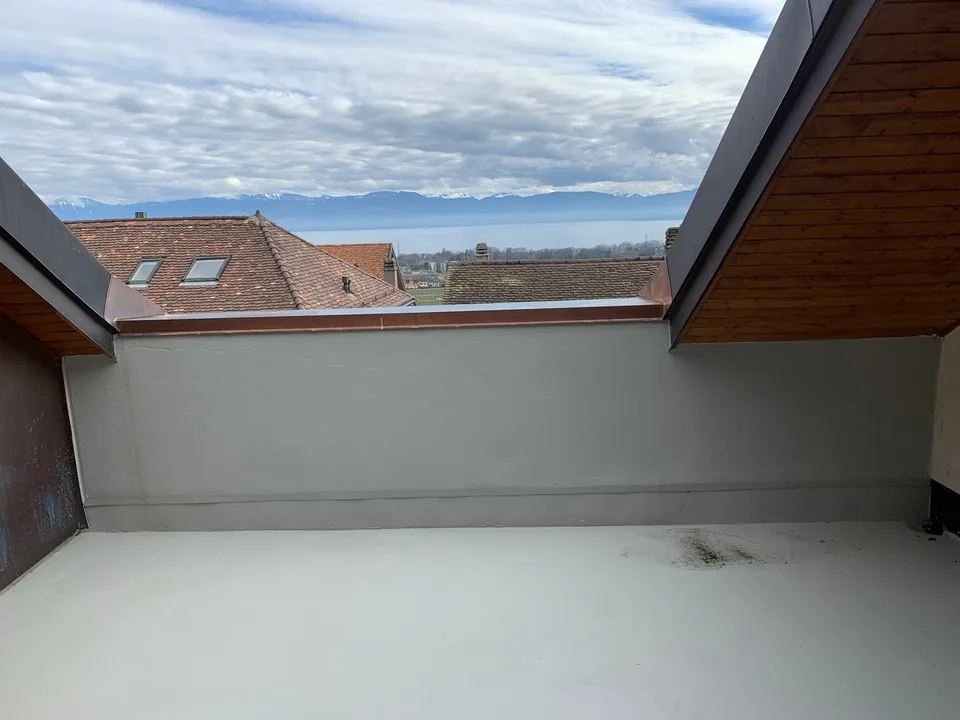 EN EXCLUSIVITE - Magnifique Appartement lumineux de 5.5 pièces