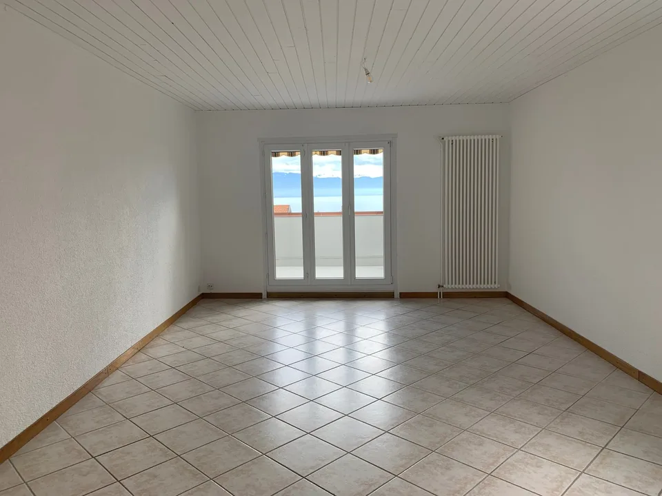 EN EXCLUSIVITE - Magnifique Appartement lumineux de 5.5 pièces