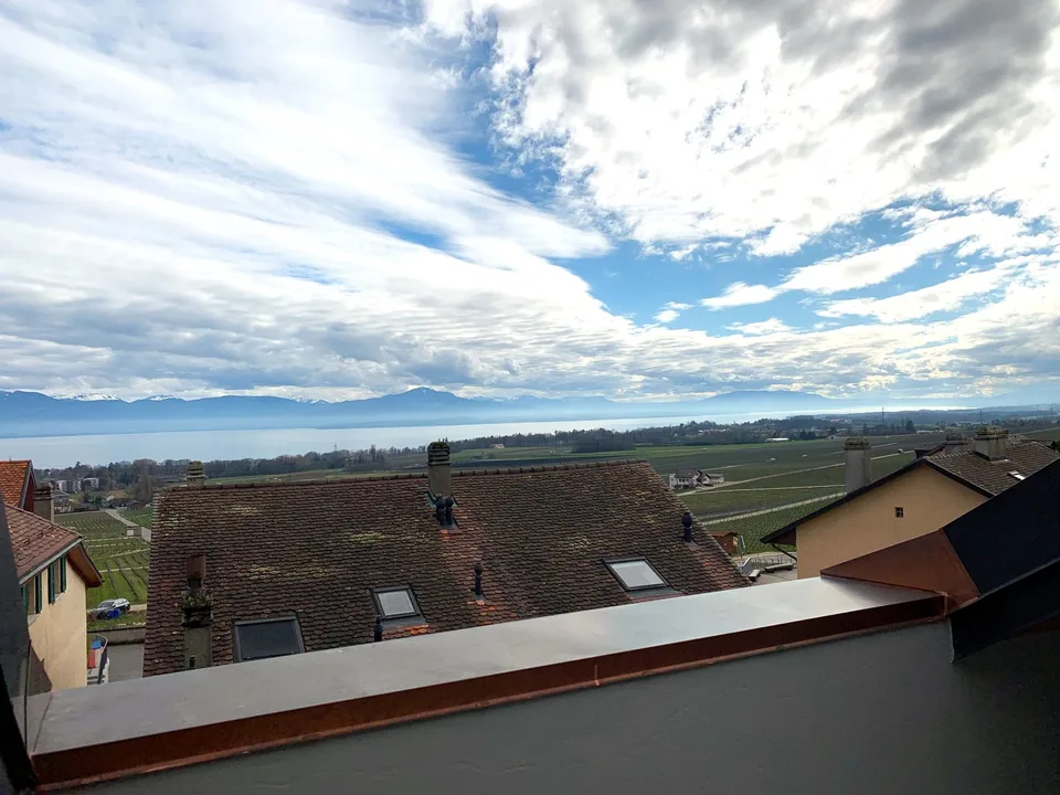 EN EXCLUSIVITE - Magnifique Appartement lumineux de 5.5 pièces