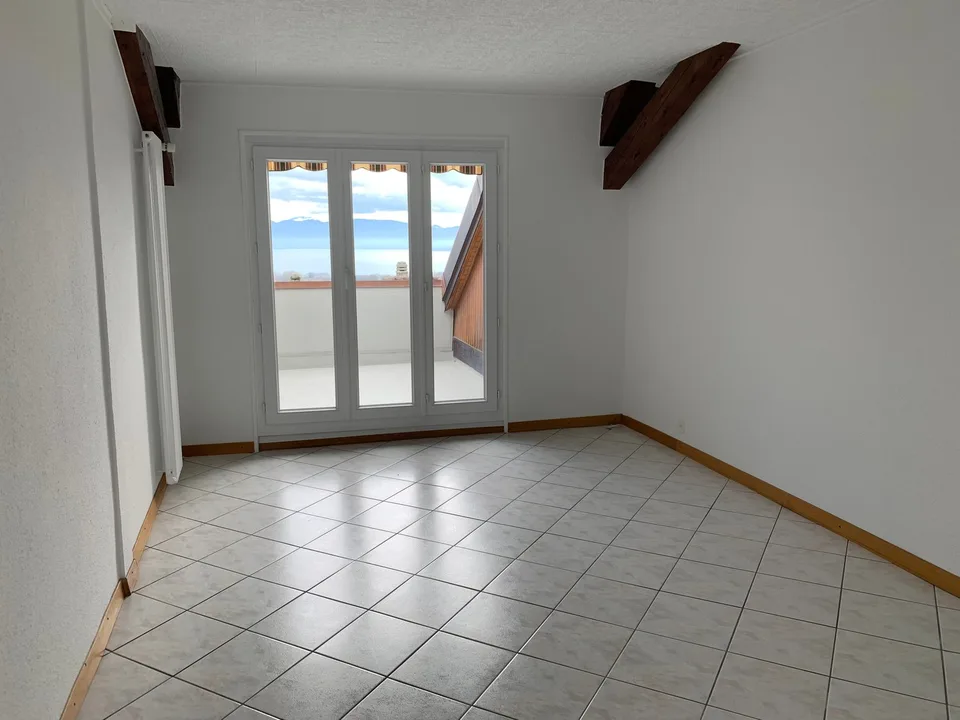 EN EXCLUSIVITE - Magnifique Appartement lumineux de 5.5 pièces