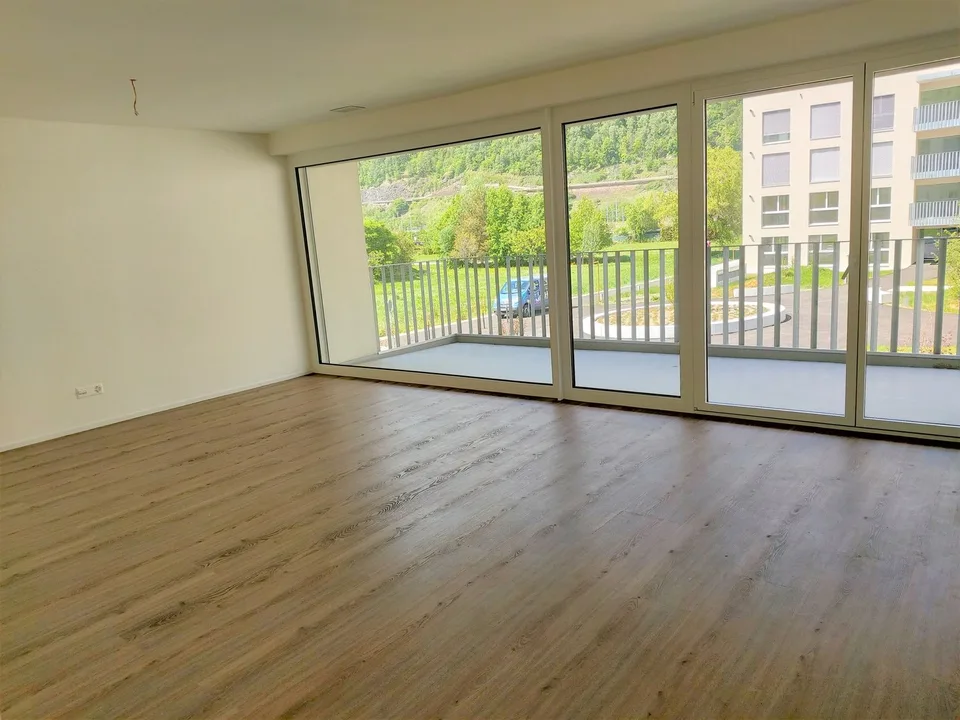 3 1/2 Zimmerwohnung