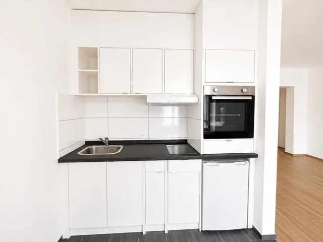 Helle 1.5-Zimmer-Wohnung an top Lage in Basel (4058)