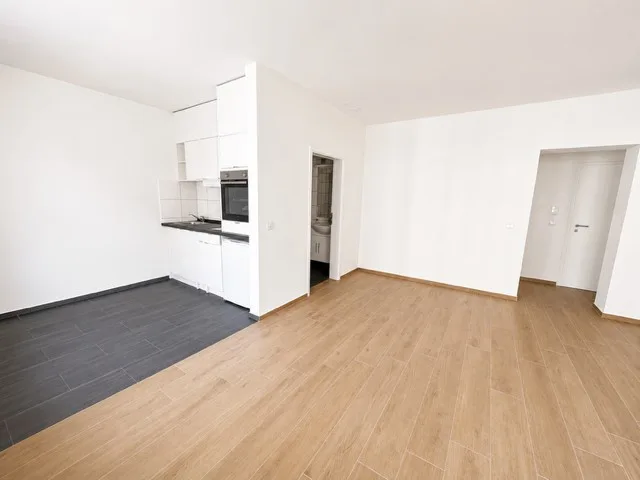 Helle 1.5-Zimmer-Wohnung an top Lage in Basel (4058)
