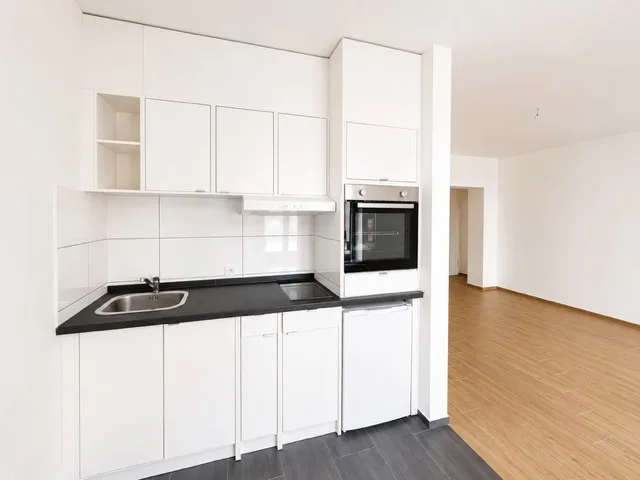 Helle 1.5-Zimmer-Wohnung an top Lage in Basel (4058)