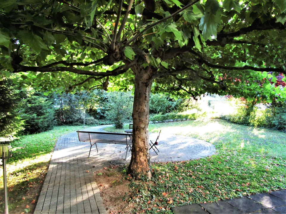 Charmante 5.5-Zimmer-Maisonette-Wohnung mit Balkon in Allschwil