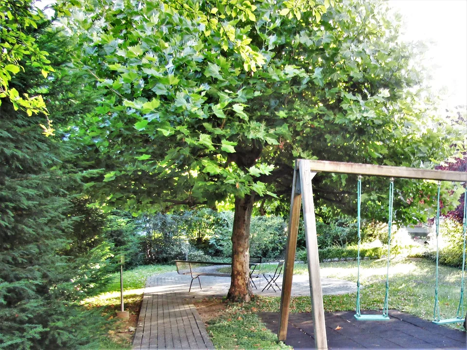 Charmant appartement maisonnette 5.5 pièces avec balcon à Allschwil – photo 6 sur 6