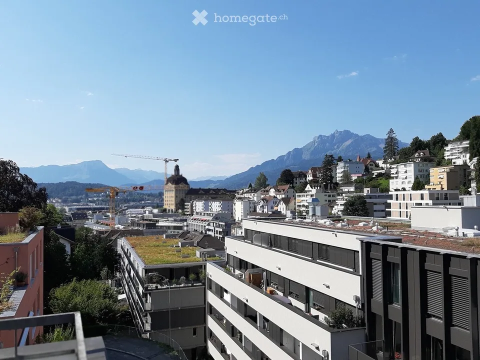 Neu renovierte 2½-Zimmer-Wohnung