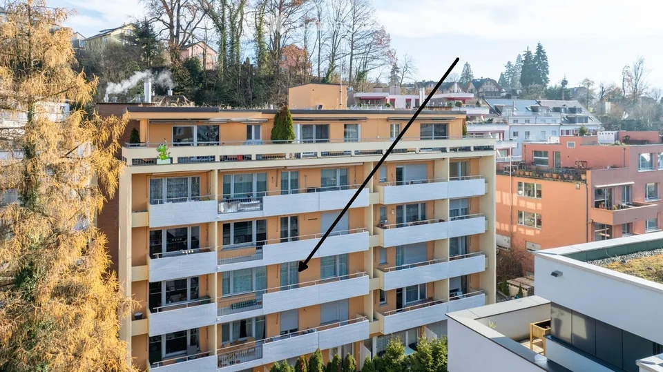 Neu renovierte 2½-Zimmer-Wohnung