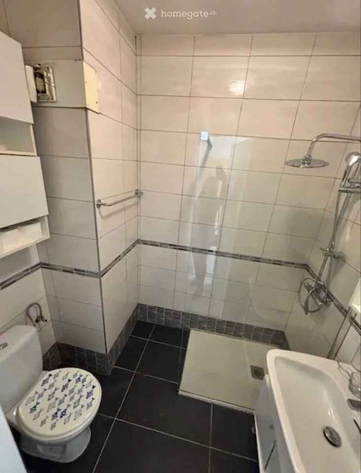 Studio 1.5 locali Caslano/Pura arredato + Posto auto