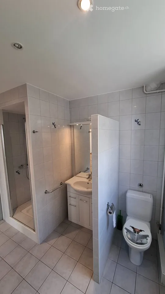3.5 room apartment with balcony for rent in Le Locle
