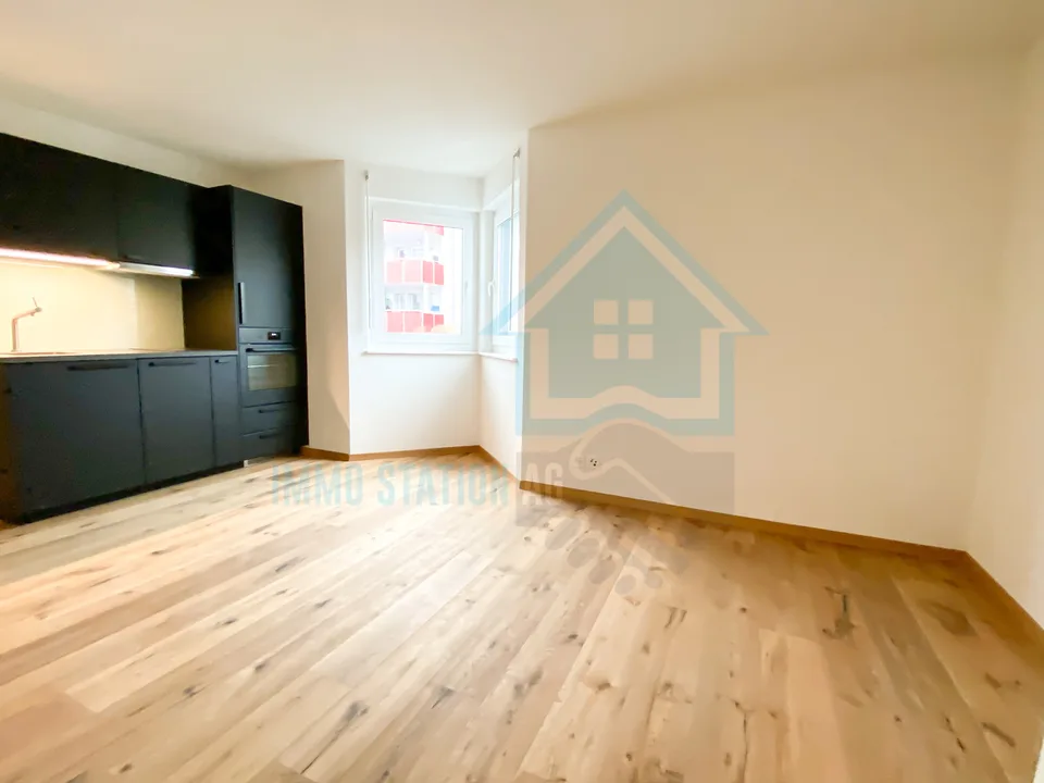 Modernes 1 Zimmerwohnung/Appartement/Studio in Gontenschwil AG