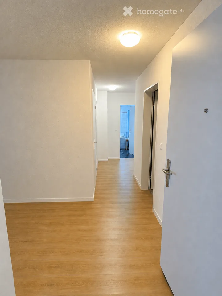 NEU RENOVIERTE 3.5-Zimmer-Wohnung in ruhigem grünen Quartier