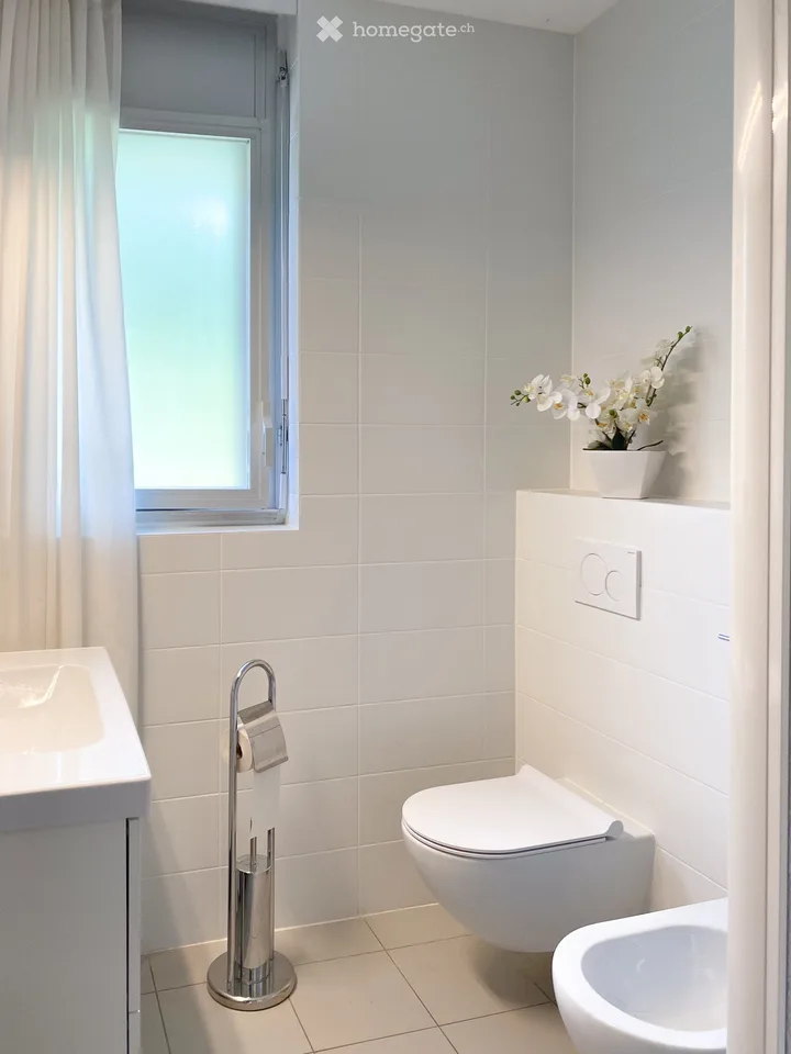 Bright 2.5-room apartment in Pregassona