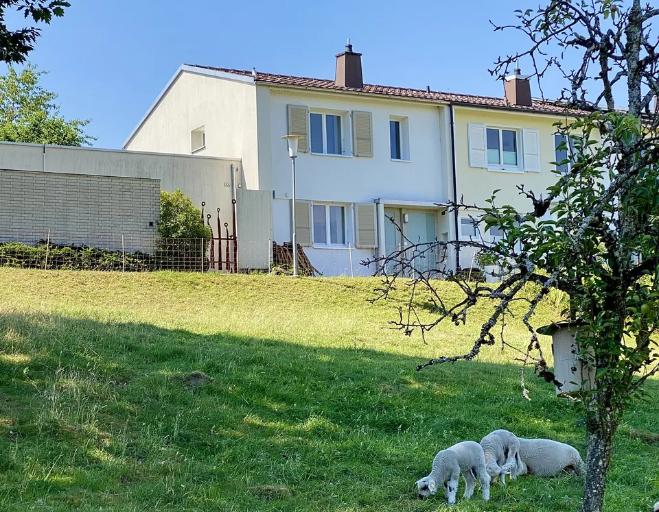 Charmant appartement rénové de 4 pièces avec jardin intime et vue sur le Jura