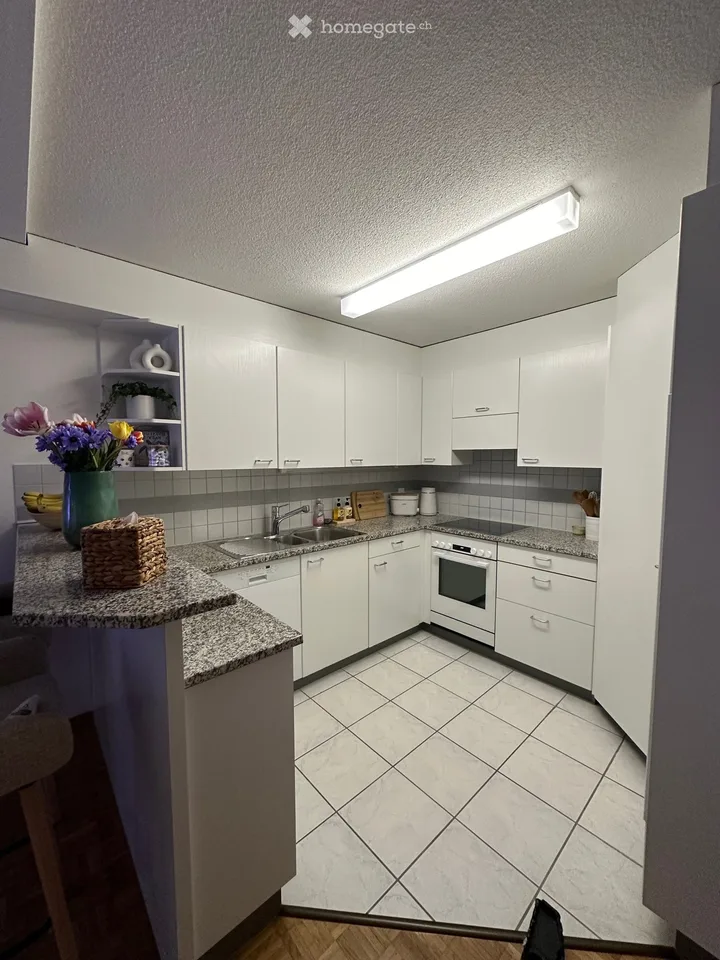 3 ½ Zimmer-Wohnung