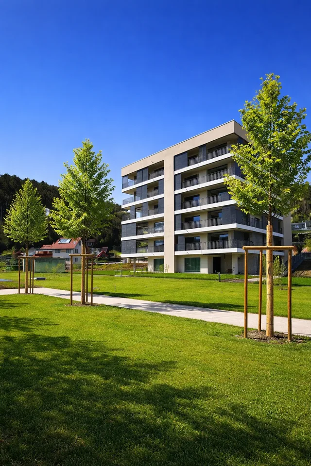 Moderne 5.5-Zimmer-Wohnung mit Balkon und schöner Aussicht in Zwingen