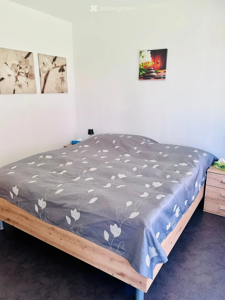Arrivo in Ticino – appartamento di 2,5 locali modernizzato con balcone ad Agno