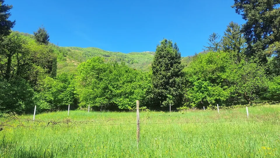 Terrain constructible de 5'639 m² en position ensoleillée, résidentielle
