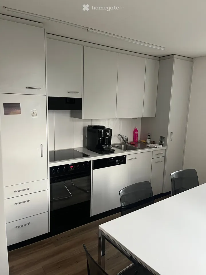 Studio in Dietikon