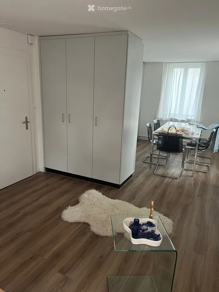 Studio in Dietikon