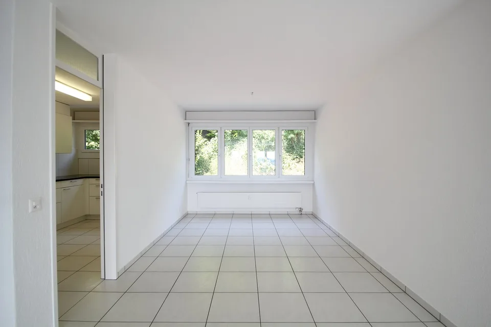 Grand & lumineux appartement 5.5 pièces avec une superbe vue sur les Alpes