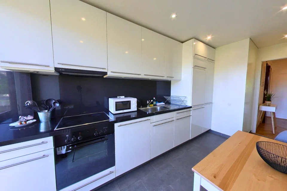 1-Bedroom Furnished Spacious Apartment with Balcony in Geneva!