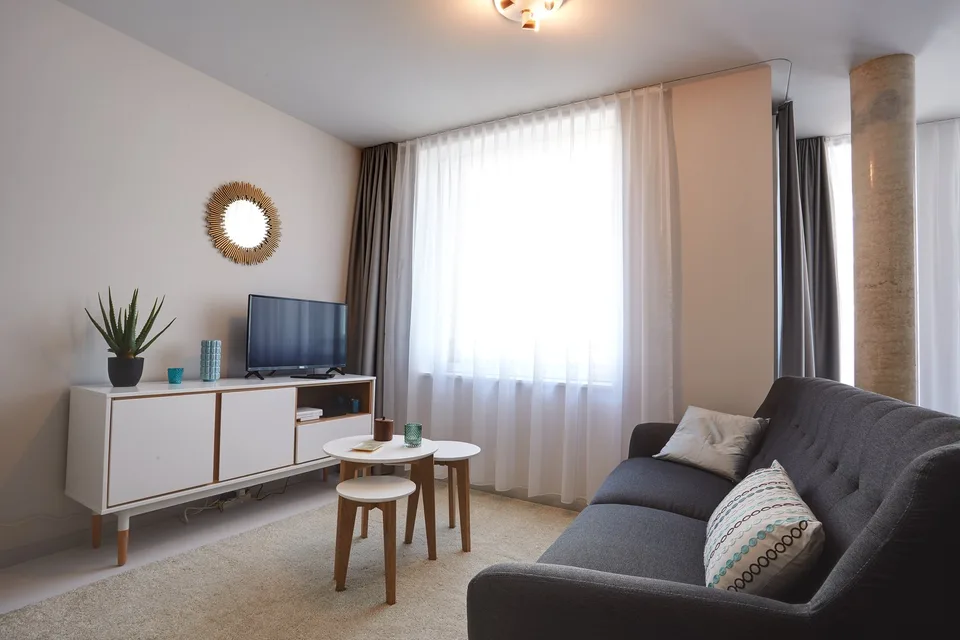 Studio meublé Deluxe/Furnished Deluxe studio in Nyon – photo 8 sur 8