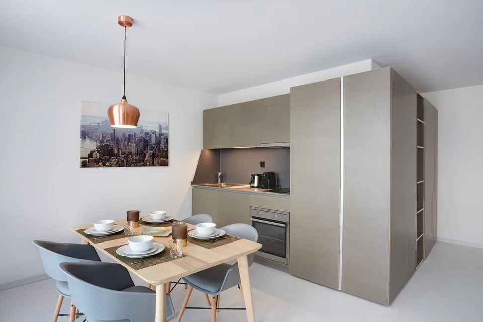Studio meublé Deluxe/Furnished Deluxe studio in Nyon – photo 6 sur 8