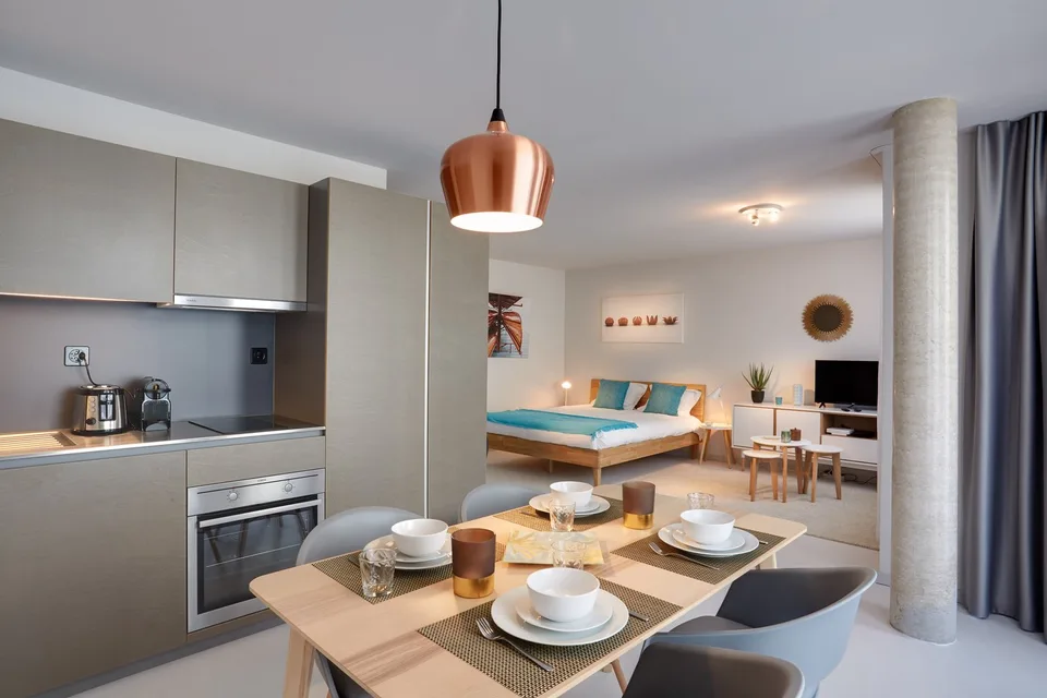 Studio meublé Deluxe/Furnished Deluxe studio in Nyon – photo 7 sur 8