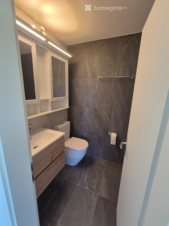 Appartement 3.5 pièces moderne à louer à Crans-Montana