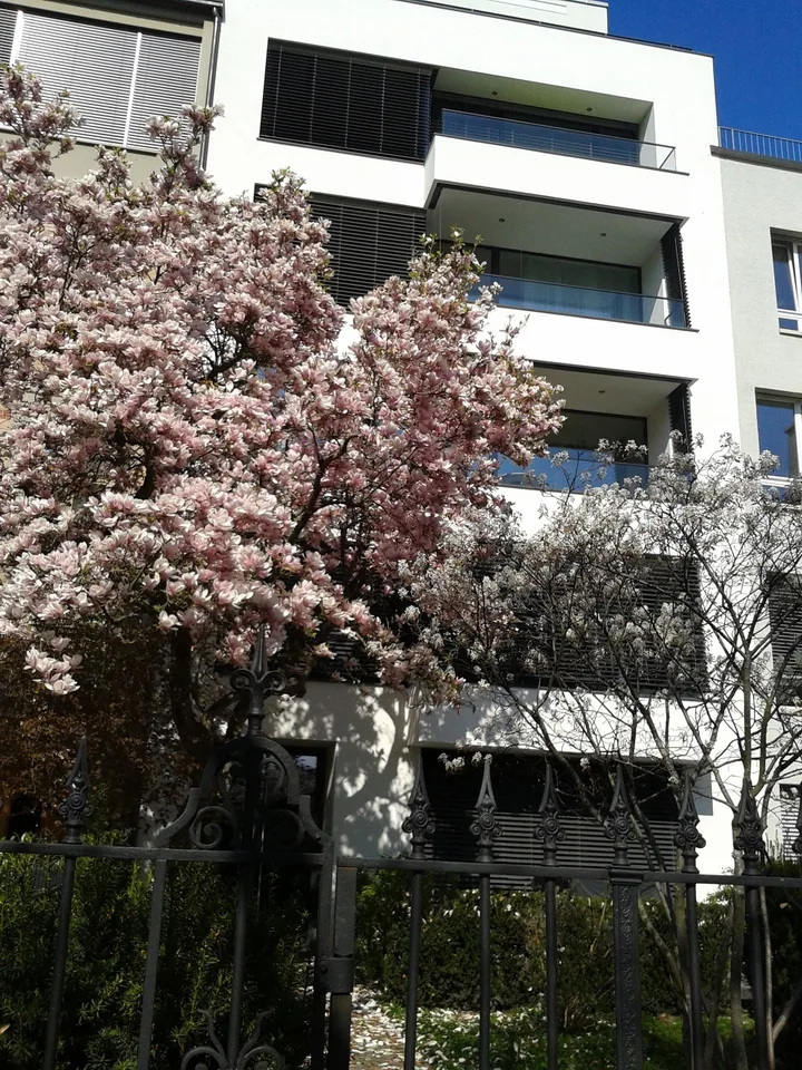 Moderne, helle 4-Zimmerwohnung beim Petersplatz in Basel