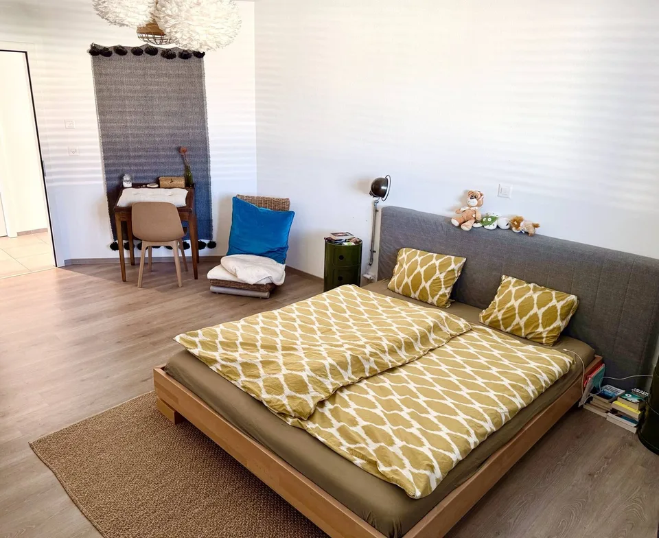 Dachgeschoss 5.5 Zimmer - Panoramaterrasse von 106 m2 – Foto 6 von 6