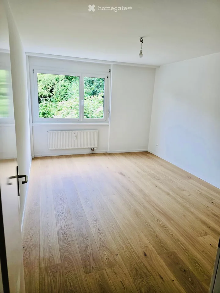 Appartamento luminoso 4.5 locali con balcone ad Arlesheim