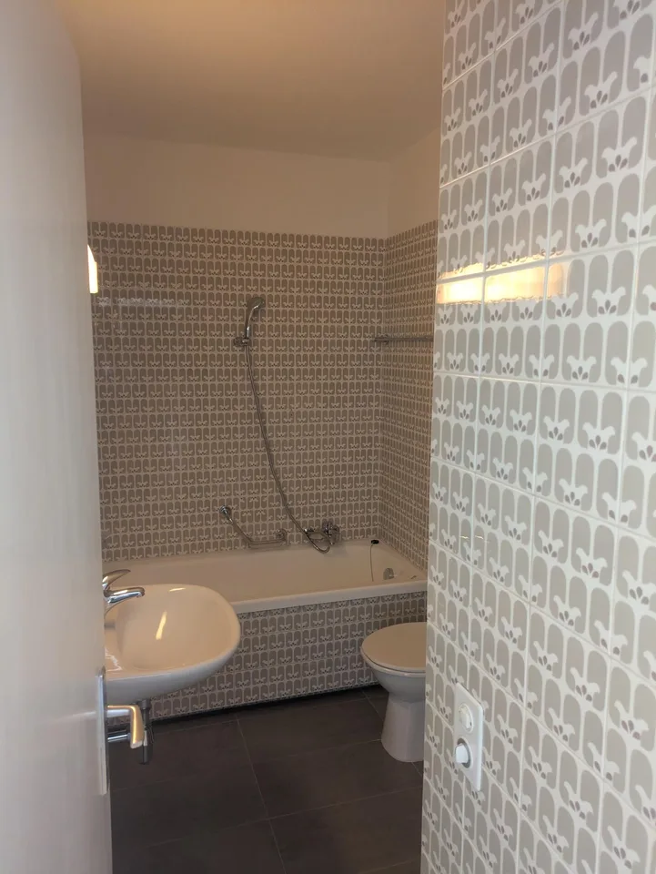 Miete 1.5-Zimmer-Wohnung mit Seeblick in Melide