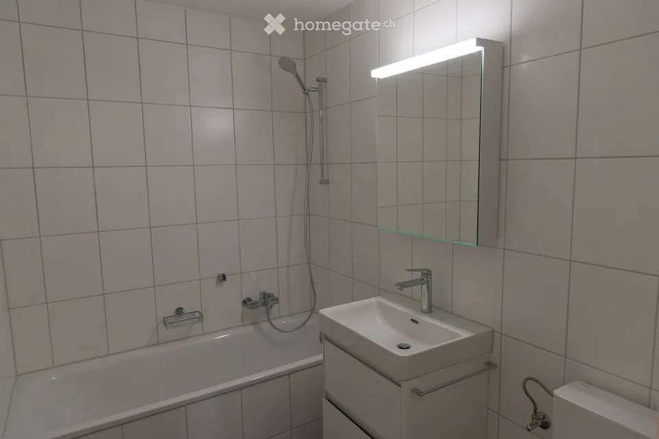 Location pour la première fois après rénovation totale au Meierhof Olten