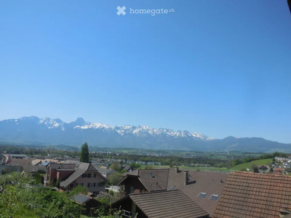 DEFH in una posizione panoramica in un ambiente familiare