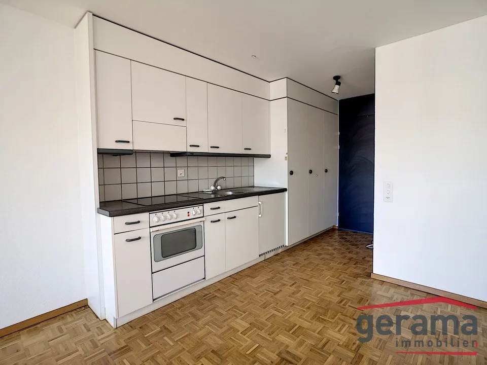 Appartement 1.5 pièce
