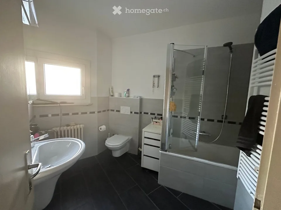 Recherche d'un sous-locataire pour un appartement de 2.5 pièces à Massagno