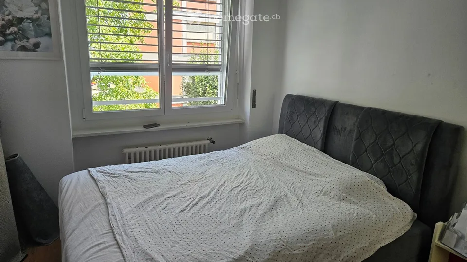 Wohnung 3.5 Zimmer und ein halbes in Massagno, 1 Monat gratis