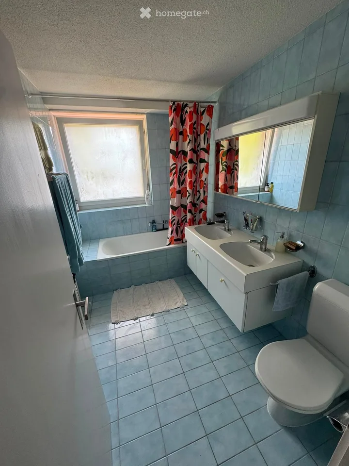 Appartamento grande e accogliente di 2.5 locali (~ 85m2) con giardino