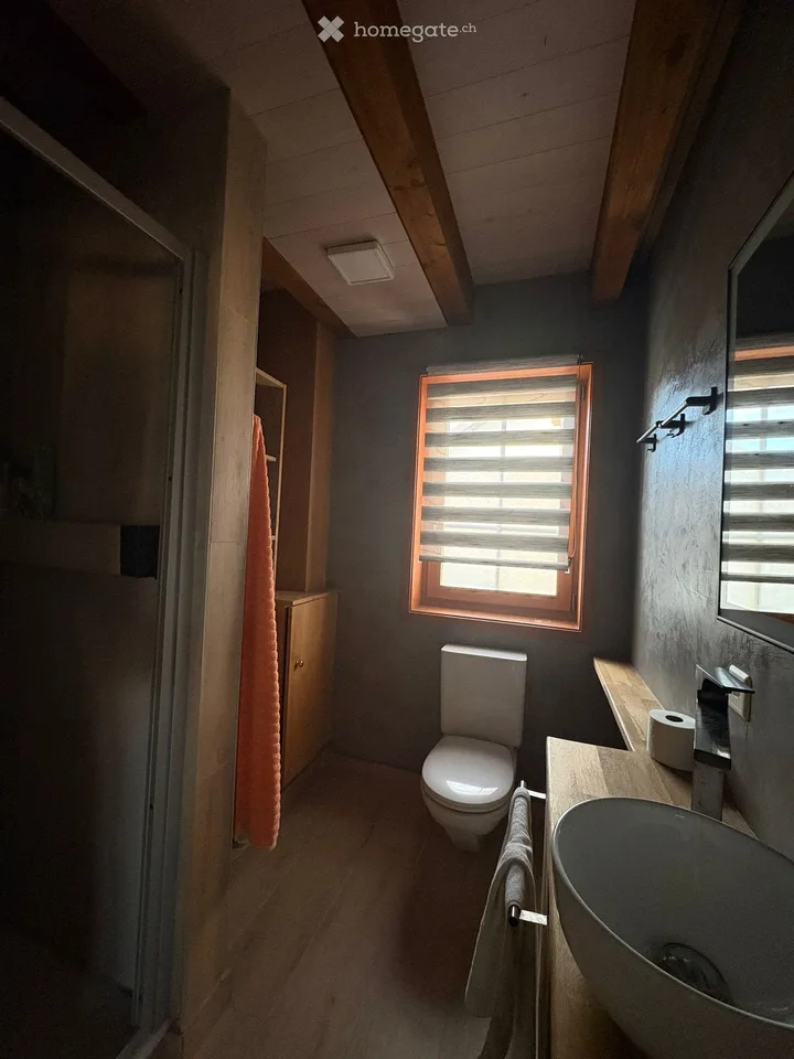 Room in a shared house in a villa, 20 minutes by train from Lausanne