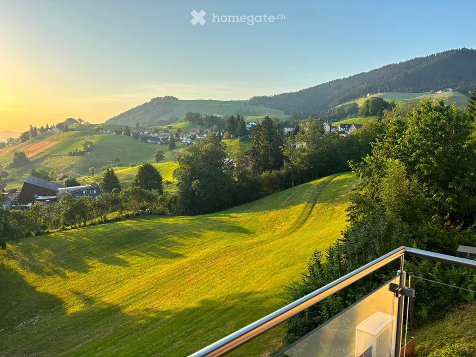 DEFH mit wunderschöner Aussicht und viel Privatsphäre in Wädenswil