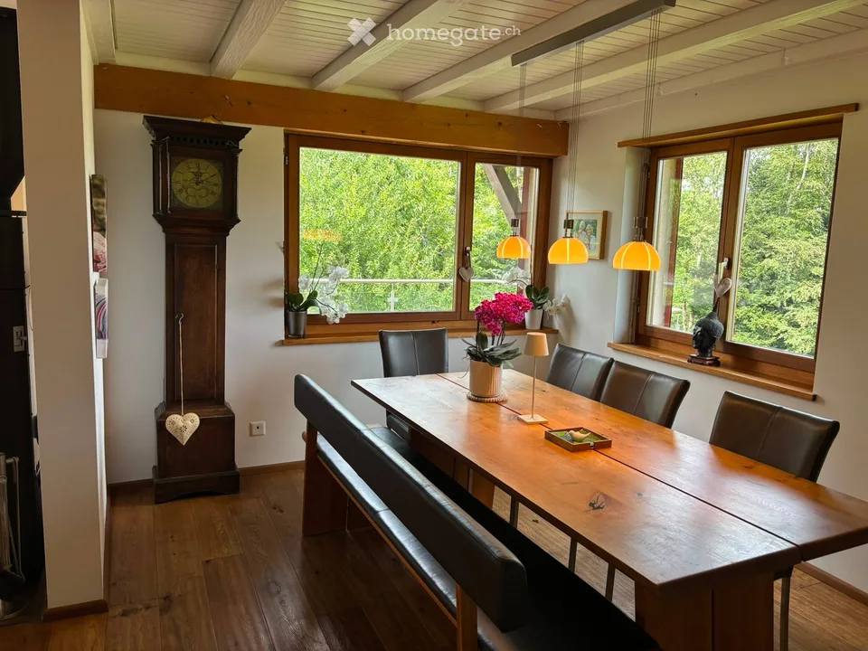 DEFH mit wunderschöner Aussicht und viel Privatsphäre in Wädenswil