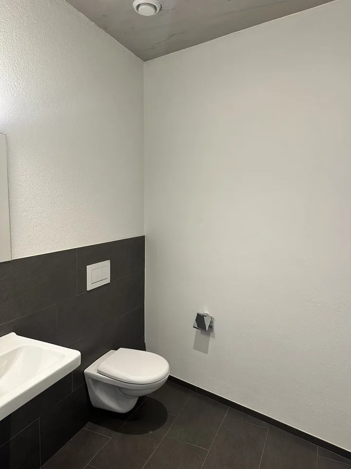 Espace commercial moderne dans un excellent emplacement à Heerbrugg, y compris un parking – photo 9 sur 9
