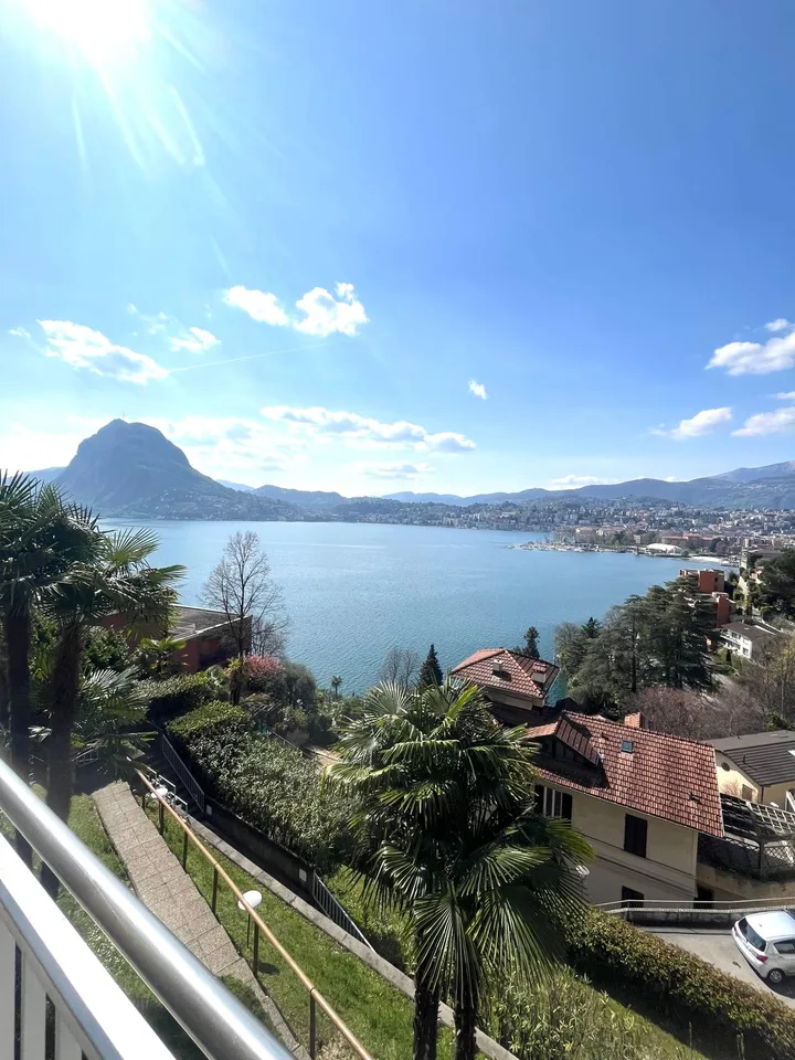 APPARTAMENTO 2.5 LOCALI CON MERAVIGLIOSA VISTA LAGO