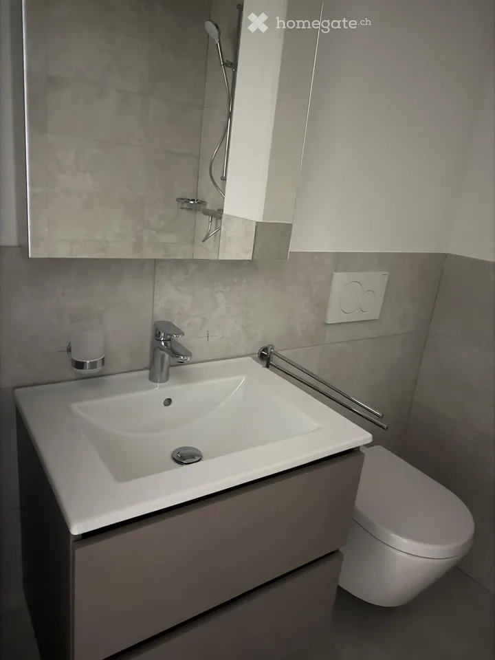 Nouvel appartement de 4,5 pièces dans un immeuble neuf à Erlinsbach SO (5 minutes d'Aarau)