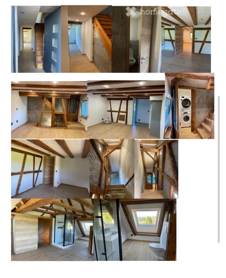 Tenant wanted immediately